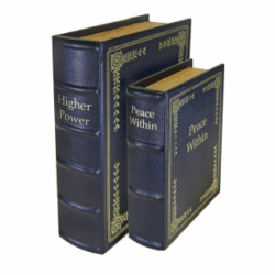 Personal Security Products Diversion Books Hidden Safe 2/ct